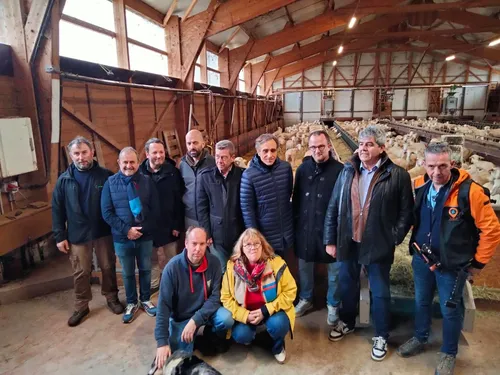 L’Aveyron et ses brebis en vedettes au Salon de l'Agriculture