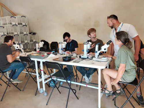 A quoi ressemblait la Lozère au temps des dinosaures ?