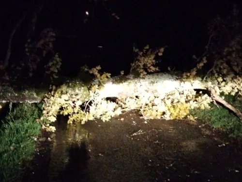 Encore 800 foyers privés d'électricité dans le Cantal ce matin