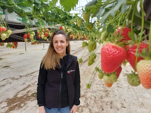 A Saint-Porquier le printemps ramène sa fraise