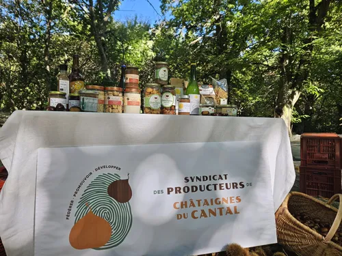 Un nouvel élan pour la filière castanéicole dans le Cantal