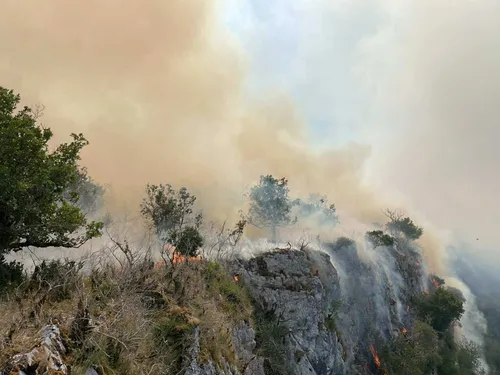 77 hectares partis en fumée, le feu de Sauliac-sur-Célé désormais fixé