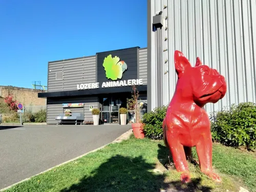 Seule animalerie de Lozère depuis 17 ans, elle voit une grande...