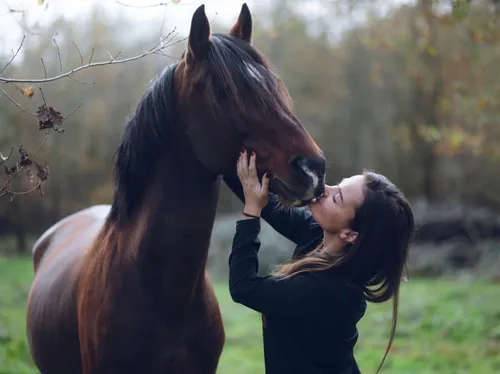 « Des étoiles se sont alignées » pour Célia, la Tarn-et-Garonnaise...