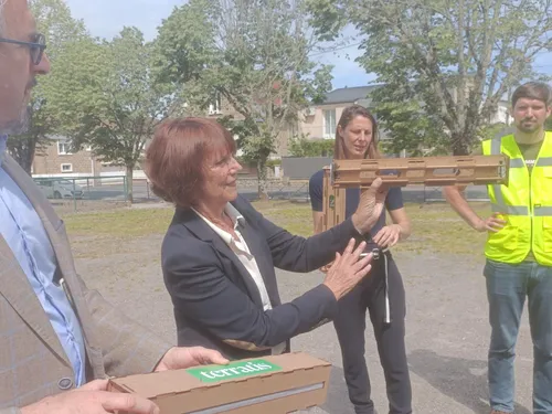 Moustique-tigre : Brive prolonge la TIS 