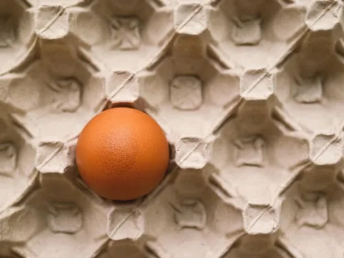 Faut-il craindre une pénurie d'oeufs ?