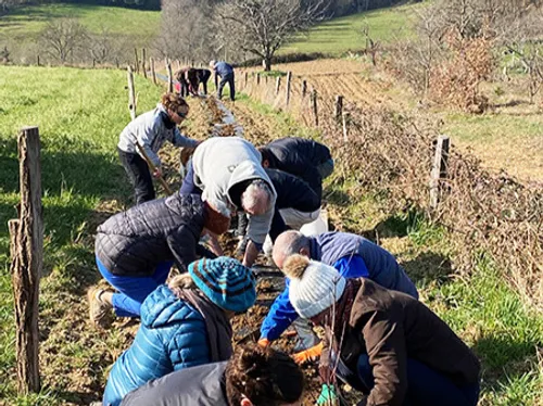 Et si on mettait un peu plus de vert dans nos communes ?