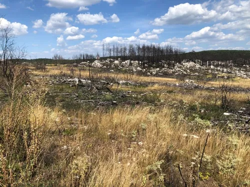 Aveyron : l'automne, période idéale pour le débroussaillement 