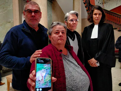 Tarn-et-Garonne : des chats drogués aux Lexomil et jetés de la voiture