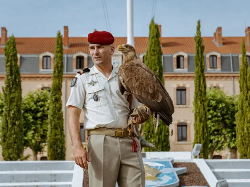 De Malizia à Roccia : une nouvelle mascotte pour le 17e RGP de...