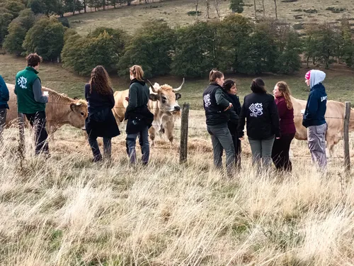 Aveyron : offensive séduction pour attirer les vétérinaires
