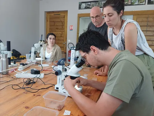 Un voyage de 30 millions d'années dans les phosphatières du Quercy