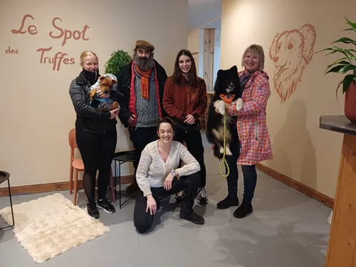 Montauban : un bar à chien ouvre en centre-ville