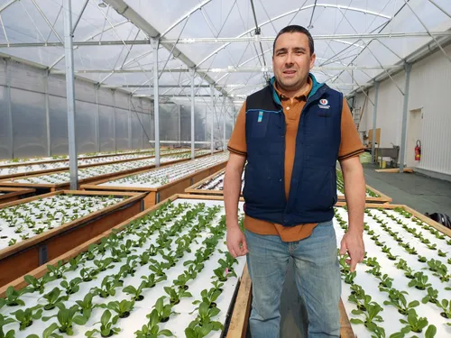 Inédit près de Montauban : une ferme aquaponique dans un supermarché