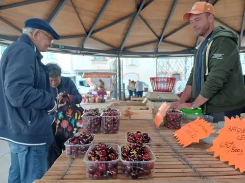 Tarn-et-Garonne : les cerises arrivent avec deux semaines d’avance