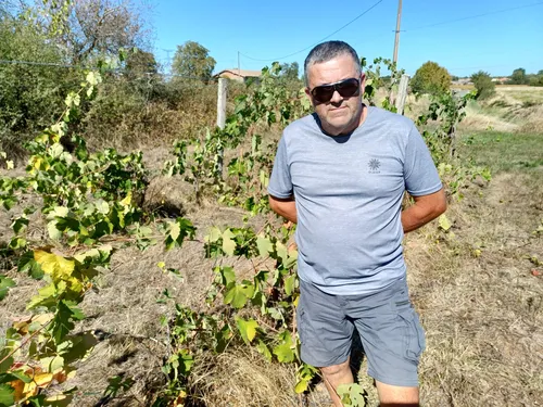 Tarn-et-Garonne : après les arrachages, l'appellation Saint-Sardos...