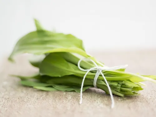 Attention à la confusion entre colchique et ail des ours