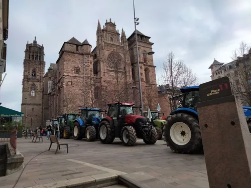 Dermatose : les exportations de jeunes bovins vont reprendre