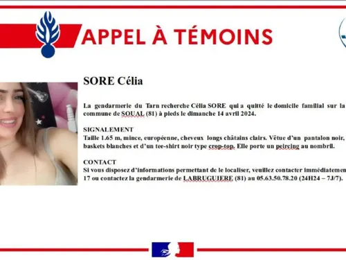 Un appel à témoins lancé dans le Tarn