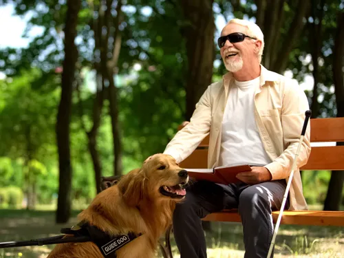 Bénévoles, service de transport : les aveugles demandent de l’aide...