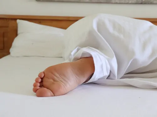 Punaises de lit : comment les identifier et comment réagir ?