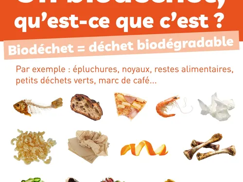 Du nouveau dans les poubelles des Ruthénois