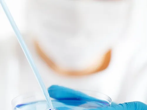 Deux nouvelles formations à Aurillac dans l'enseignement supérieur