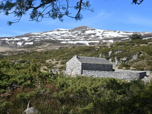 Cantal : des burons sortent de l'ombre