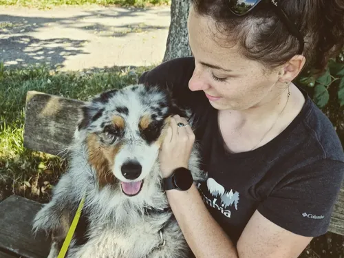 Les nounous, ça existe aussi pour vos animaux de compagnie !