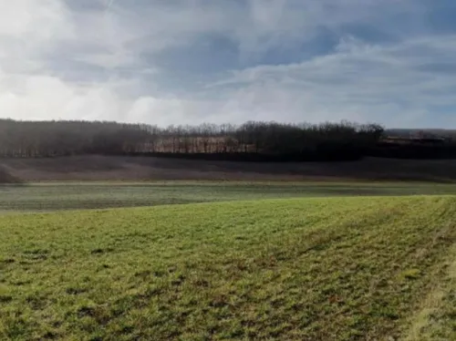 Agrivoltaïsme : la contestation s’organise et se finance à...