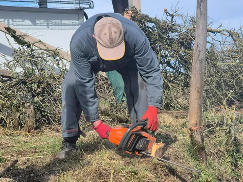 Agriculture : zoom sur l'entretien des haies en Aveyron
