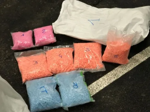 Viaduc de Millau : plus de 60 kilos d'ecstasy saisis par les douanes