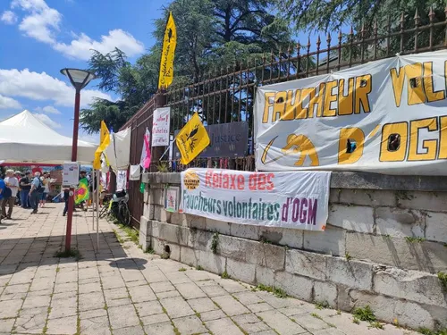 Verdict le 28 juin pour les faucheurs volontaires