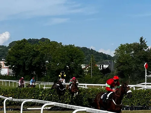 Pourquoi il n'y aura pas de courses hippiques ce jeudi 7 novembre