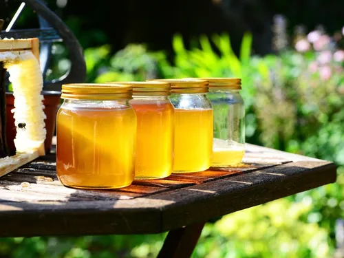 Le palmarès 2024 des miels de Lozère