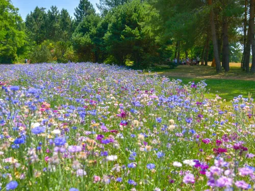 Cantal : à Arpajon-sur-Cère, le site de la Plantelière, un...