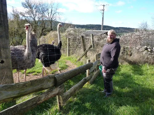 La Ferme d'autre foie élève des canards, des autruches et des lamas...