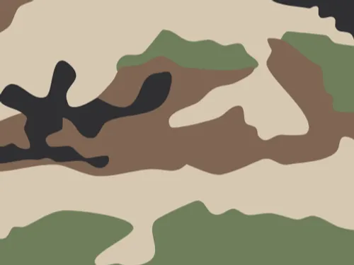 Quel impact pour la présence du 126ème Régiment d'Infanterie à Brive ?