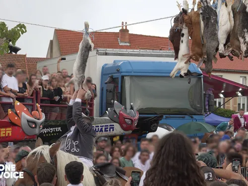 On ne frappera plus de cadavres d'animaux lors de la fête...