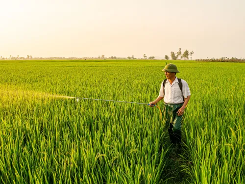 Pesticides interdits : en Aveyron, l’OFB renforce la lutte contre...