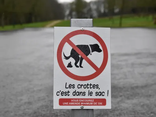 Aurillac plus sévère contre les déjections canines
