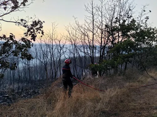 Lozère : nouveaux feux après les orages, le Massegros fixé
