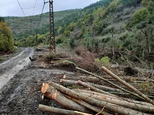  Reprise des circulations sur la ligne de l’Aubrac