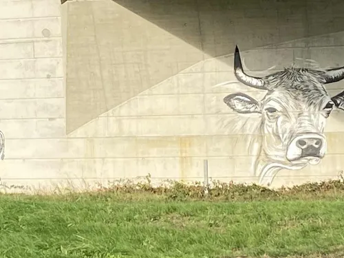 Qui est l'auteur des tags à Espalion ?