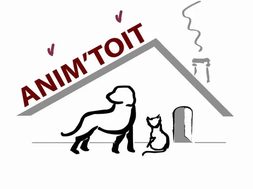 Danser pour offrir une seconde chance aux animaux du refuge ! 