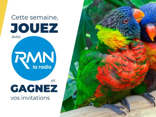 Foire aux Oiseaux de Pontivy