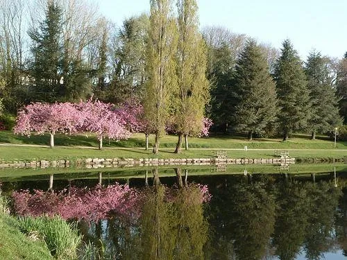 Découverte macabre à Gourin : le corps d’un homme retrouvé dans un...