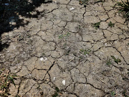 Sécheresse : le manque d’eau inquiète toujours en Bretagne