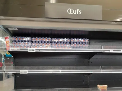 Pourquoi les œufs disparaissent des rayons des supermarchés