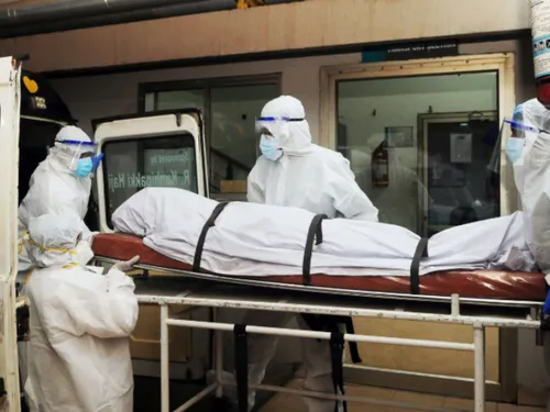 Virus Nipah : une nouvelle maladie rare redoutée, sous surveillance...